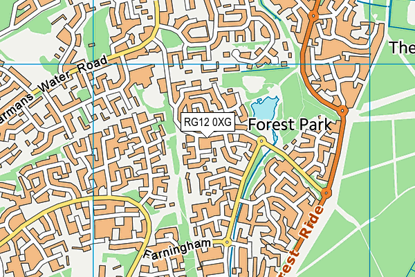 RG12 0XG map - OS VectorMap District (Ordnance Survey)
