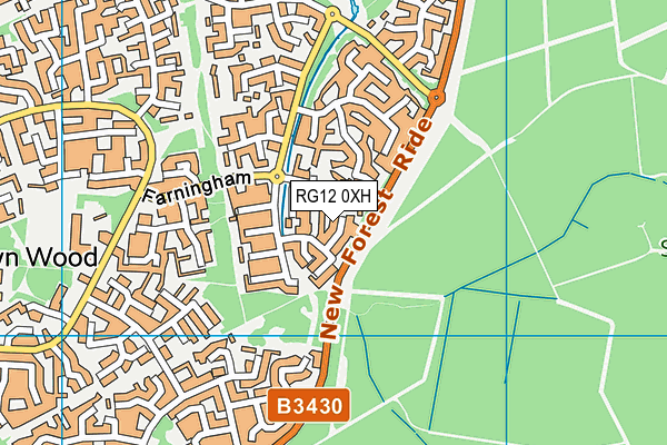 RG12 0XH map - OS VectorMap District (Ordnance Survey)