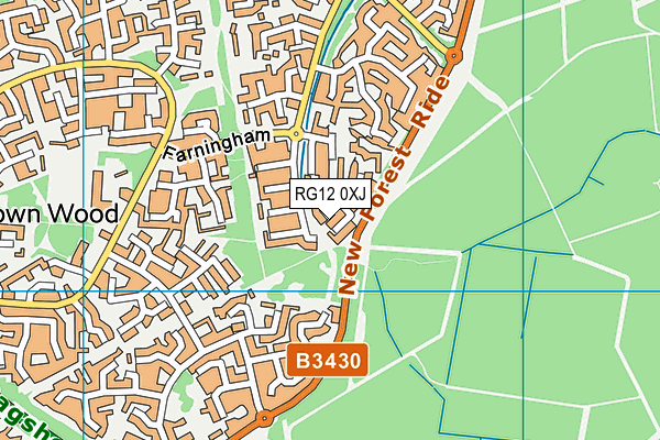 RG12 0XJ map - OS VectorMap District (Ordnance Survey)