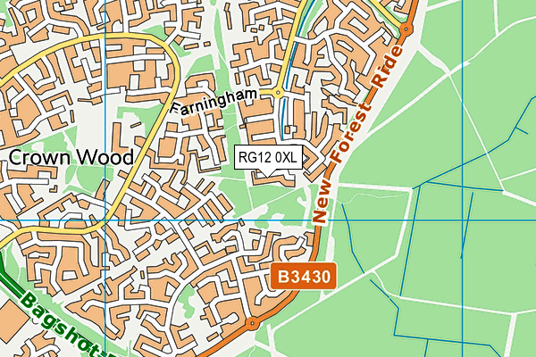 RG12 0XL map - OS VectorMap District (Ordnance Survey)