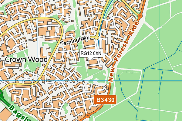 RG12 0XN map - OS VectorMap District (Ordnance Survey)