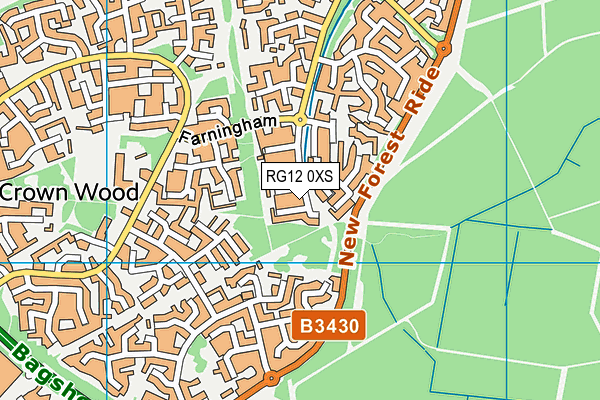 RG12 0XS map - OS VectorMap District (Ordnance Survey)