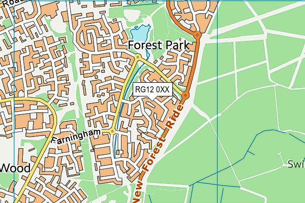 RG12 0XX map - OS VectorMap District (Ordnance Survey)