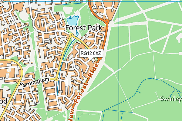 RG12 0XZ map - OS VectorMap District (Ordnance Survey)