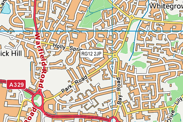 RG12 2JP map - OS VectorMap District (Ordnance Survey)