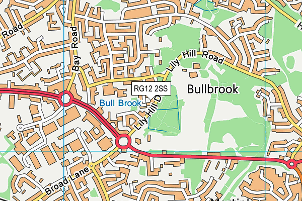 RG12 2SS map - OS VectorMap District (Ordnance Survey)