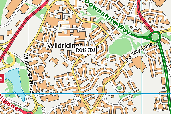 RG12 7DJ map - OS VectorMap District (Ordnance Survey)