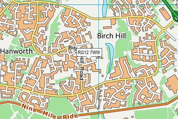 Birch Hill Primary School and Nursery map (RG12 7WW) - OS VectorMap District (Ordnance Survey)