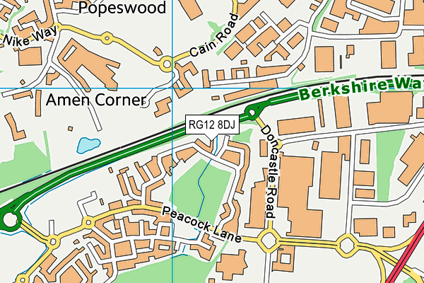 RG12 8DJ map - OS VectorMap District (Ordnance Survey)