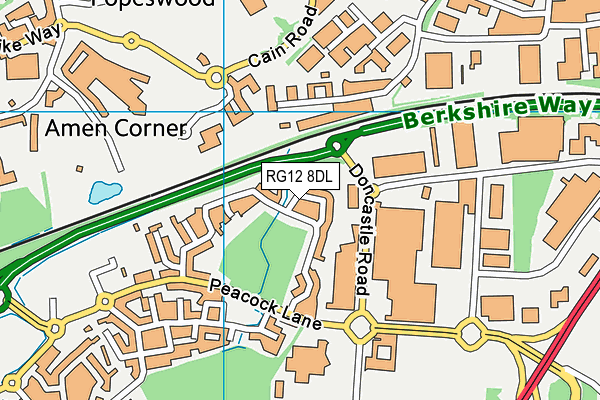 RG12 8DL map - OS VectorMap District (Ordnance Survey)