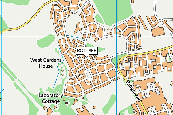 RG12 8EF map - OS VectorMap District (Ordnance Survey)