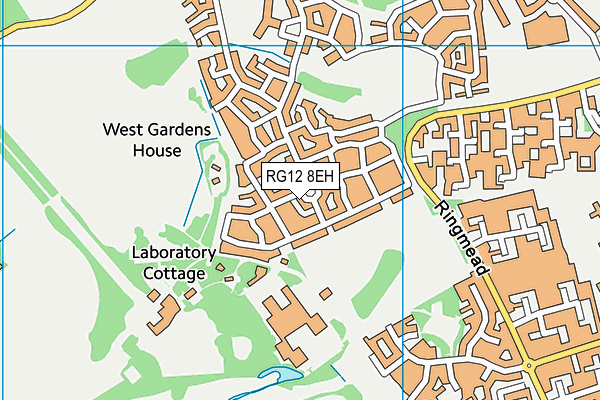 RG12 8EH map - OS VectorMap District (Ordnance Survey)