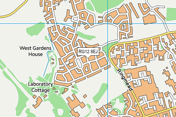 RG12 8EJ map - OS VectorMap District (Ordnance Survey)