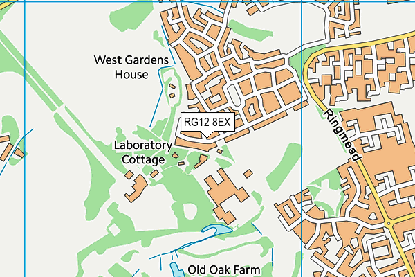 RG12 8EX map - OS VectorMap District (Ordnance Survey)