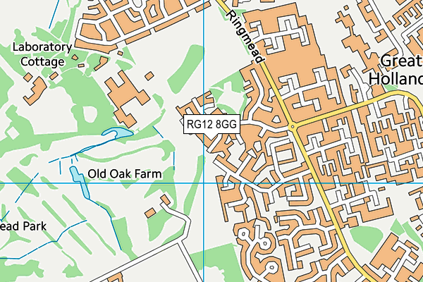 RG12 8GG map - OS VectorMap District (Ordnance Survey)