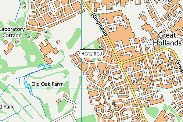 RG12 8GJ map - OS VectorMap District (Ordnance Survey)