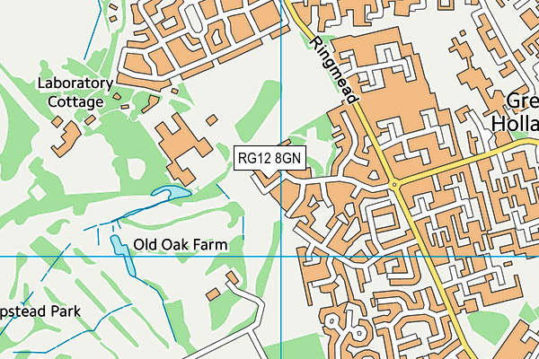 RG12 8GN map - OS VectorMap District (Ordnance Survey)