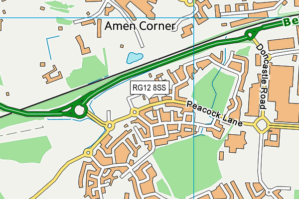 RG12 8SS map - OS VectorMap District (Ordnance Survey)