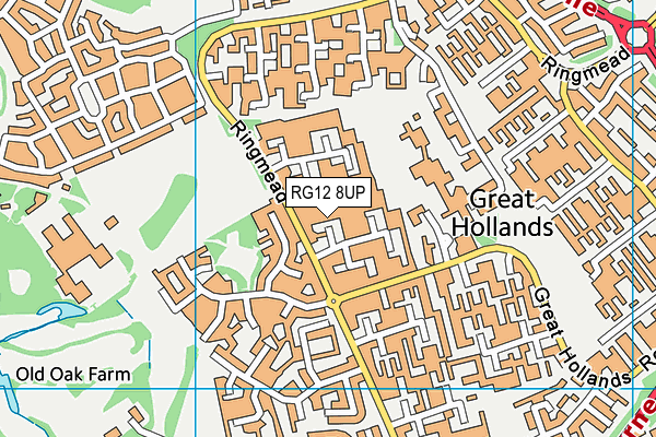 RG12 8UP map - OS VectorMap District (Ordnance Survey)