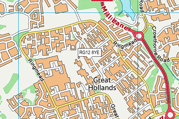RG12 8YE map - OS VectorMap District (Ordnance Survey)