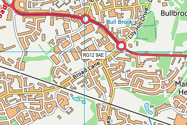 RG12 9AE map - OS VectorMap District (Ordnance Survey)