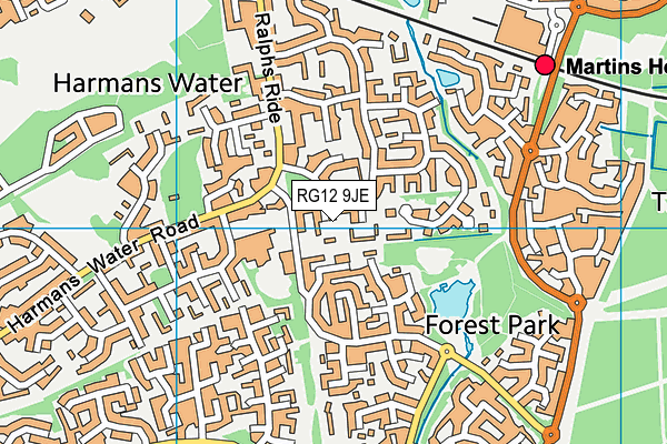 RG12 9JE map - OS VectorMap District (Ordnance Survey)