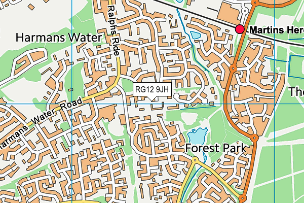 RG12 9JH map - OS VectorMap District (Ordnance Survey)