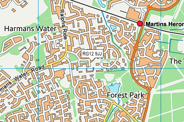 RG12 9JJ map - OS VectorMap District (Ordnance Survey)