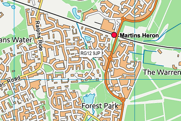 RG12 9JP map - OS VectorMap District (Ordnance Survey)