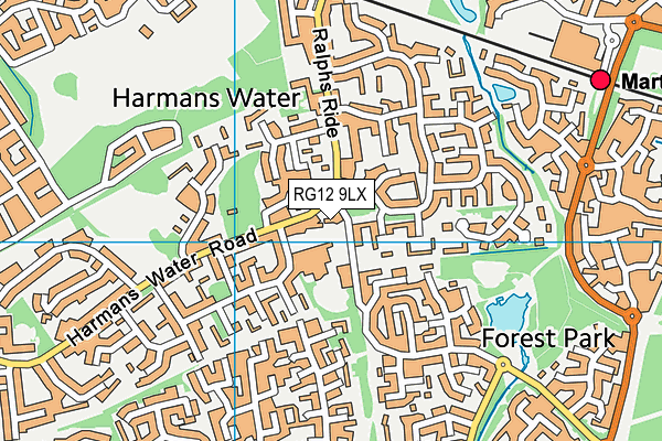 RG12 9LX map - OS VectorMap District (Ordnance Survey)