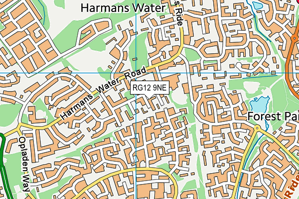 Harmans Water Primary School map (RG12 9NE) - OS VectorMap District (Ordnance Survey)