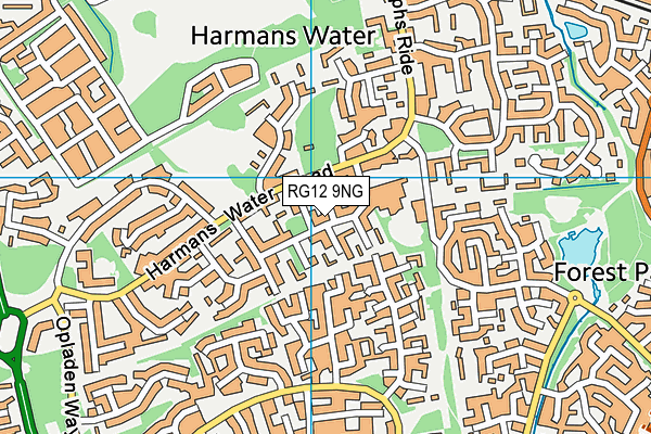 RG12 9NG map - OS VectorMap District (Ordnance Survey)