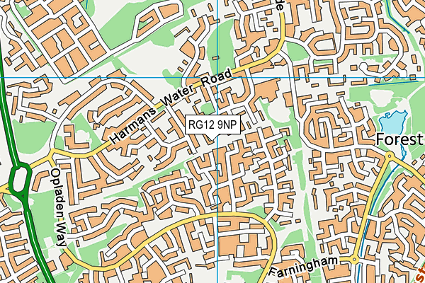 RG12 9NP map - OS VectorMap District (Ordnance Survey)