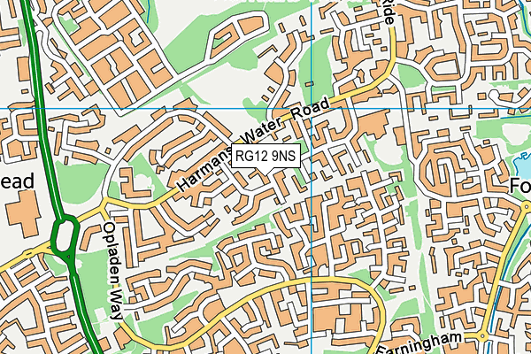 RG12 9NS map - OS VectorMap District (Ordnance Survey)