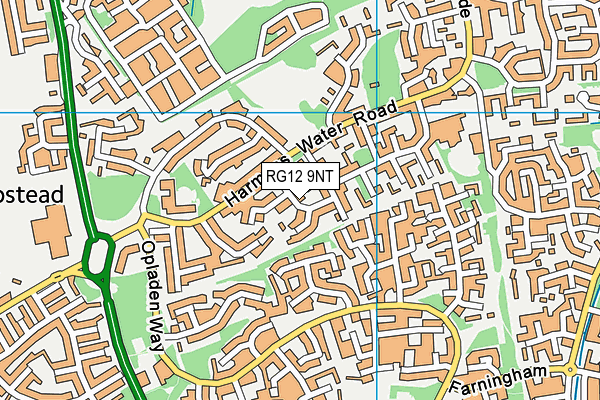 RG12 9NT map - OS VectorMap District (Ordnance Survey)