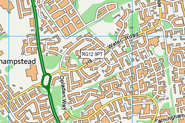 RG12 9PT map - OS VectorMap District (Ordnance Survey)