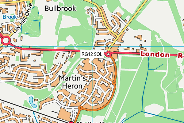 RG12 9QL map - OS VectorMap District (Ordnance Survey)