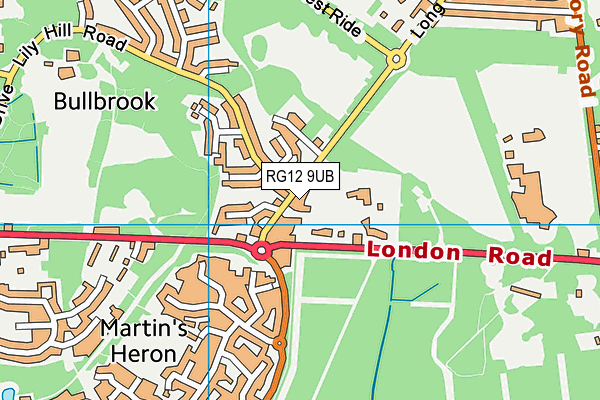 RG12 9UB map - OS VectorMap District (Ordnance Survey)