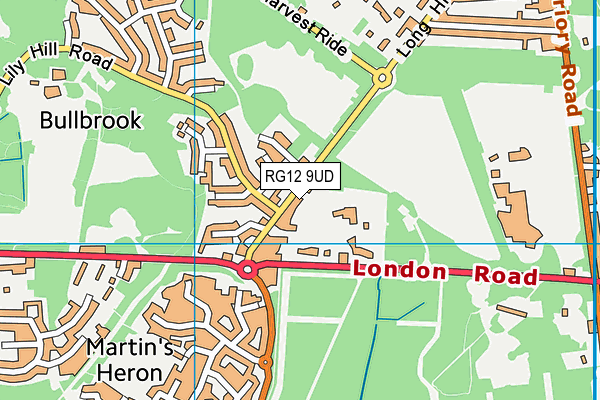 RG12 9UD map - OS VectorMap District (Ordnance Survey)