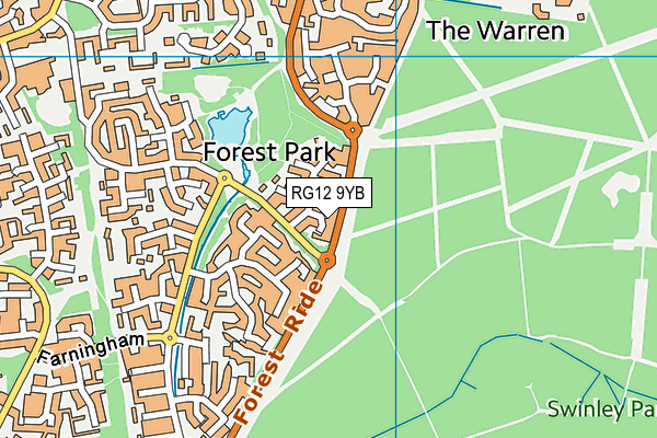 RG12 9YB map - OS VectorMap District (Ordnance Survey)