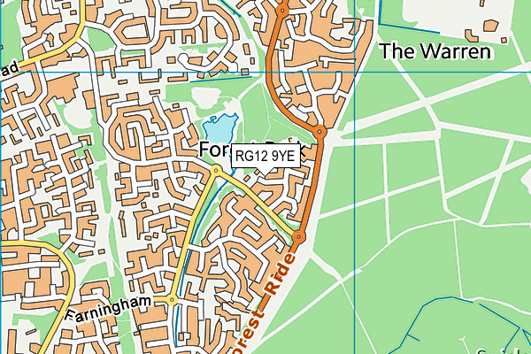 RG12 9YE map - OS VectorMap District (Ordnance Survey)