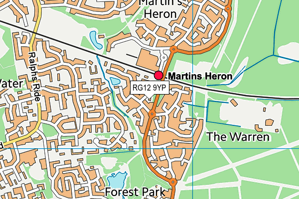 RG12 9YP map - OS VectorMap District (Ordnance Survey)