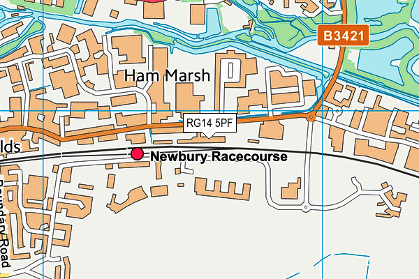 RG14 5PF map - OS VectorMap District (Ordnance Survey)