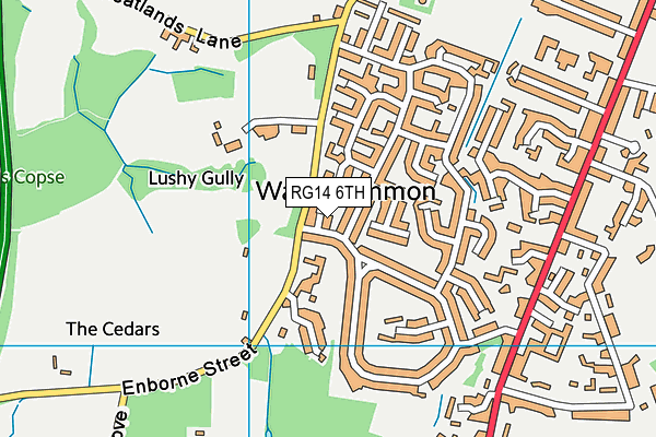 RG14 6TH map - OS VectorMap District (Ordnance Survey)
