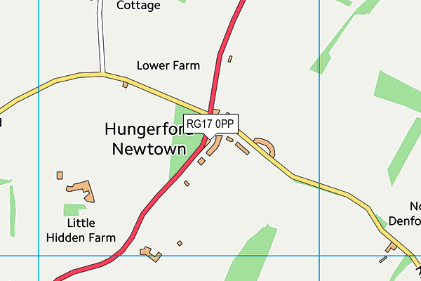 RG17 0PP map - OS VectorMap District (Ordnance Survey)