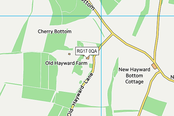 RG17 0QA map - OS VectorMap District (Ordnance Survey)