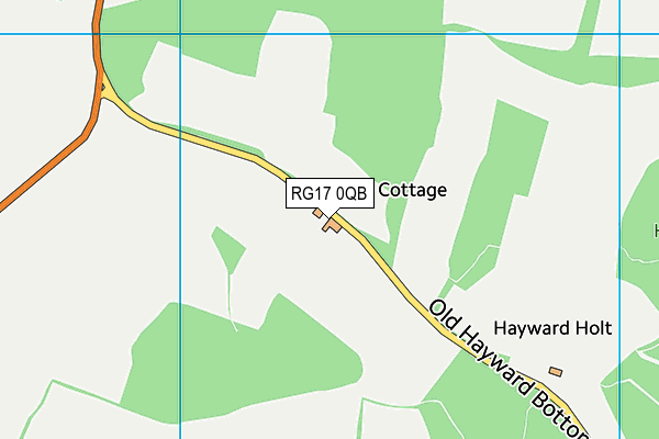 RG17 0QB map - OS VectorMap District (Ordnance Survey)