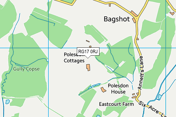 RG17 0RJ map - OS VectorMap District (Ordnance Survey)