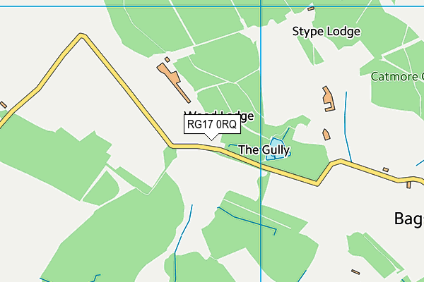 RG17 0RQ map - OS VectorMap District (Ordnance Survey)