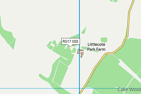 RG17 0SS map - OS VectorMap District (Ordnance Survey)